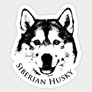 Siberian Husky Sticker